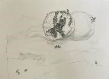 202307120104孙鑫蕾1