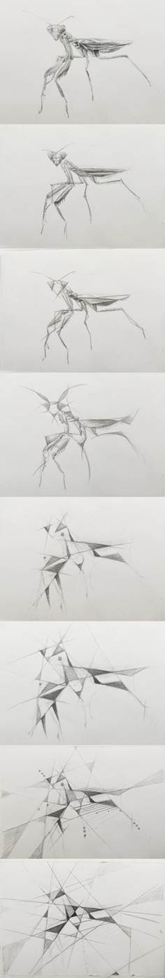 202307120118范琳琳4