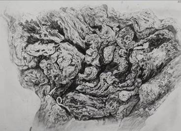 202307120120赵继豪1