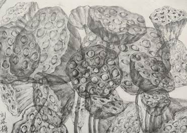 202307120125刘宗梅3