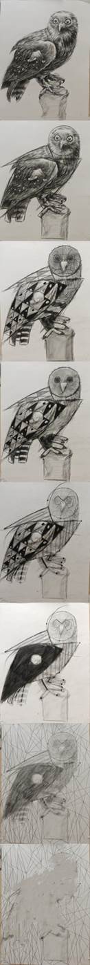 202307120106杨文菲4