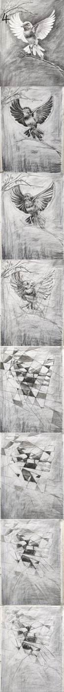 202307120119白诗涵