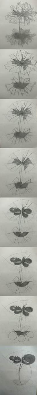 202307120102李乐彤4