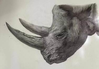 202307120113费欣然1