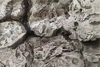 202307120115王学懋1