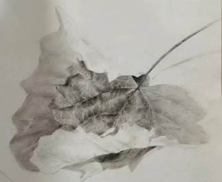 202307120121郭芊彤1