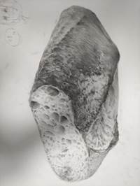 202307120107孔祥玉1