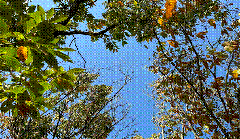 2023-11-02 14:06:32.184000