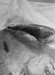 202307120102李乐彤1